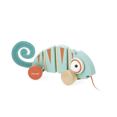 Chameleon Pull Along Toy