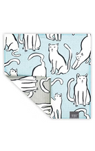 Curiosity Dual-Sided Dish Cloths