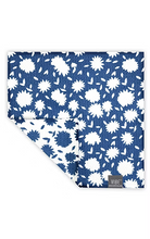 Curiosity Dual-Sided Dish Cloths