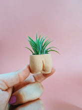 In the Nude Mini Planter