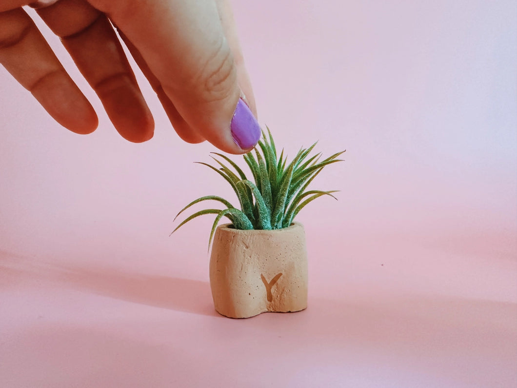 In the Nude Mini Planter