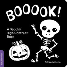Booook! A Spooky High-Contrast Book (BB)