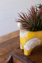 Ceramic Cat Planter/Vase