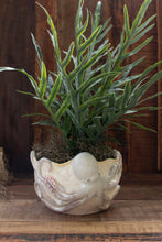 Octopus Ceramic Planter/Bowl