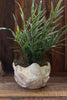Octopus Ceramic Planter/Bowl