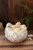 Octopus Ceramic Planter/Bowl