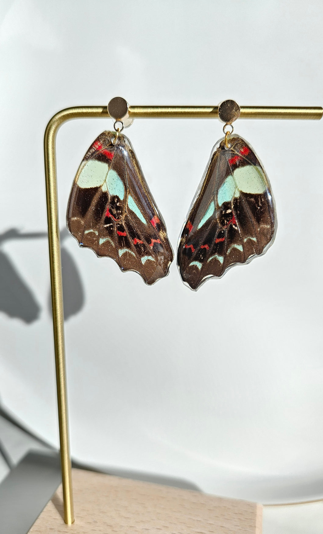 Real Butterfly Wing Earrings (Common Bluebottle)