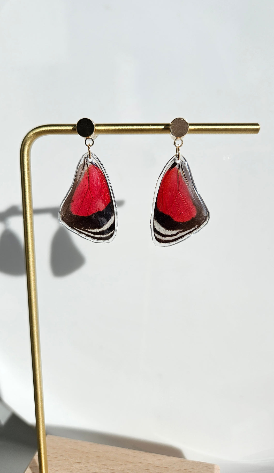 Real Butterfly Wing Earrings (Diaethria Clymena)