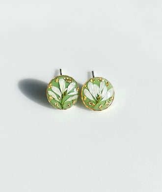 Euphorbia Mint Stud Earrings