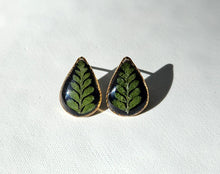 Fern Teardrop Stud Earrings