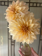 Flower Arrangement Workshop