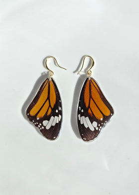 Real Butterfly Wing Earrings (Monarch)