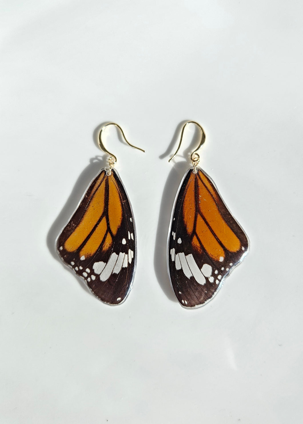 Real Butterfly Wing Earrings (Monarch)