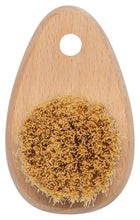 Small Veggie Brush