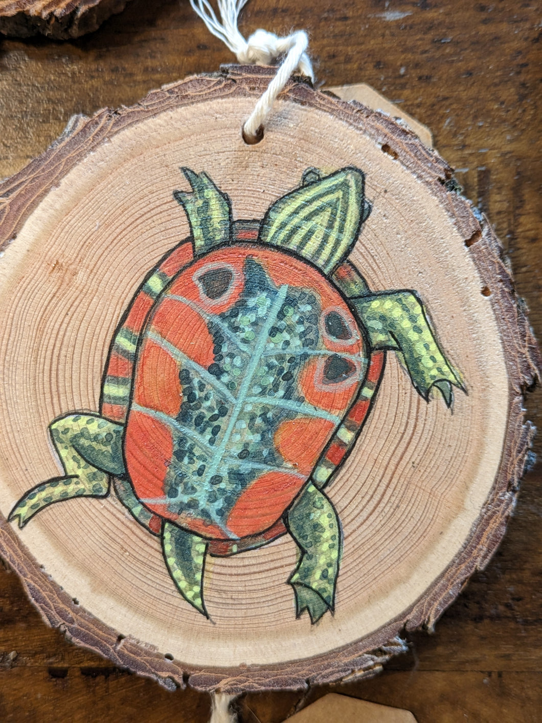 Painted Turtle Ornament by Alyssa Rose