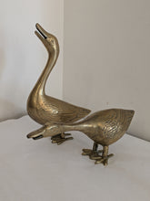 Vintage/Previously Adored Brass Geese