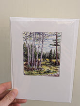 Illustrated Greeting Cards (Artwork by Jim Maki)