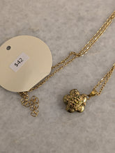 Cosette Turtle Locket Necklace