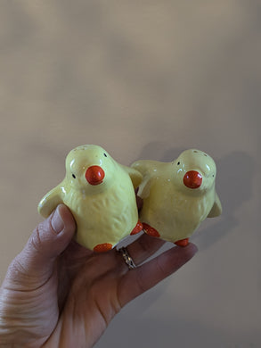 Previously Adored Chicks Salt & Pepper Shakers