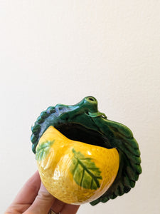 Previously Adored/Vintage Lemon Wall Pocket Planter