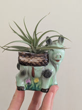 Vintage Donkey Planter