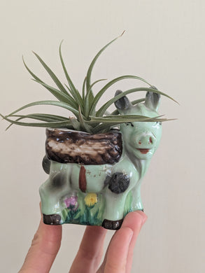 Vintage Donkey Planter