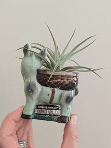 Vintage Donkey Planter