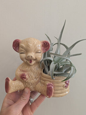 Vintage Bear With Honey Pot Planter