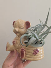Vintage Bear With Honey Pot Planter