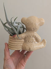 Vintage Bear With Honey Pot Planter