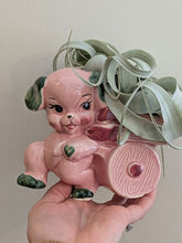 Vintage/Previously Adored Pink Dog Planter