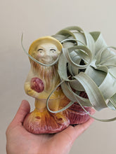 Vintage/Previously Adored Gnome Planter/Vase