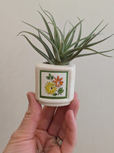 Vintage/Previously Adored Floral Toothpick/Match Holde