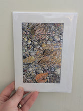 Illustrated Nature Greeting Cards (Artwork by Jim Maki)