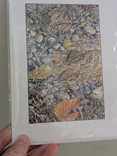 Illustrated Nature Greeting Cards (Artwork by Jim Maki)
