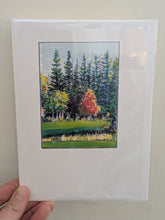Illustrated Nature Greeting Cards (Artwork by Jim Maki)
