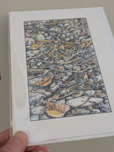 Illustrated Nature Greeting Cards (Artwork by Jim Maki)