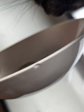 Taylor, Smith & Taylor (TS&T) Rooster Plate