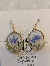 Corn Flower Euphorbia Earrings