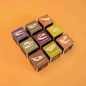 Dinosaur Wood Blocks