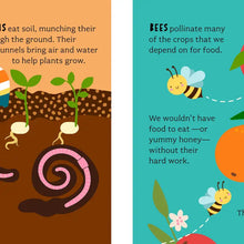 Bathtub Genius: Let's Learn About Bugs