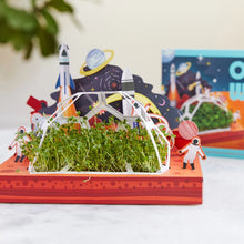 Microgreens Diy Kits