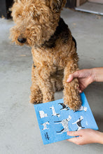 Dog Days Swedish Dishcloth