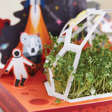 Microgreens Diy Kits