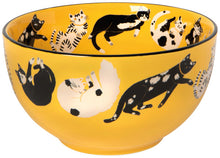 Kitty Cat Bowls (Multiple Colors)