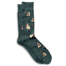 Socks that Save Dogs | Tricks or Treats