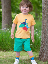 Corfe Green Shorts