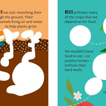 Bathtub Genius: Let's Learn About Bugs