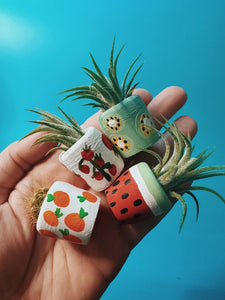 Watermelon Mini Planter