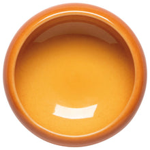 Opus Eclectic Mix & Match Dish Collection (Multiple Options)